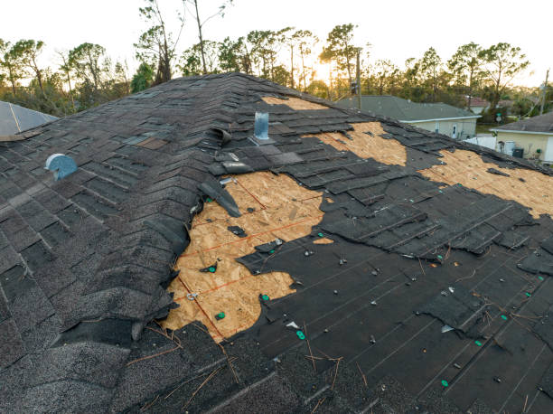 Best Sheet Metal Roofing  in Northern Cambria, PA