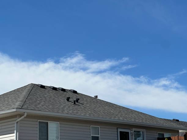 Best Roof Moss and Algae Removal  in Northern Cambria, PA